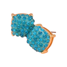 Load image into Gallery viewer, Blue Stone Embellished Square Stud Earrings
