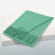 Load image into Gallery viewer, Mint Solid Color Pashmina Scarf Shawl
